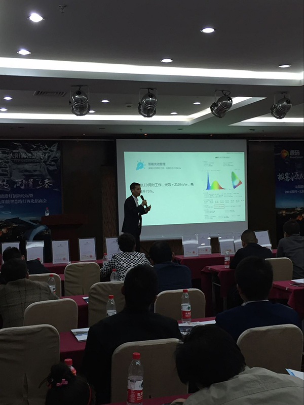 太陽能路燈，太陽能路燈廠家，太陽能路燈價格