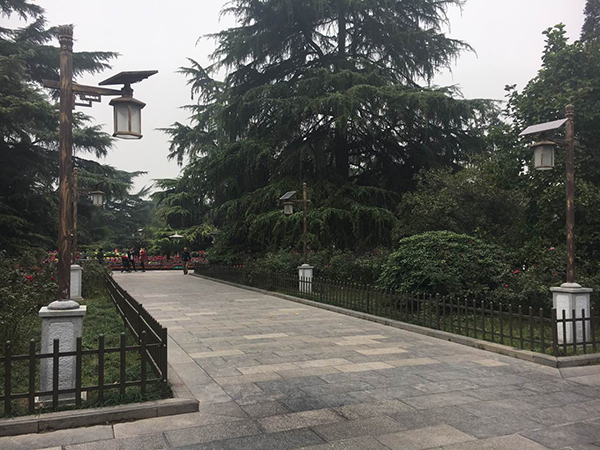 源碼太陽能路燈，太陽能路燈廠家，太陽能路燈價格