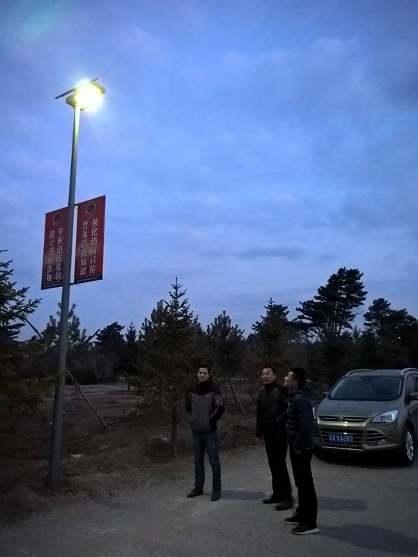 太陽能路燈，太陽能路燈廠家，太陽能路燈價格