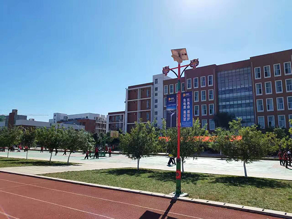 太陽(yáng)能路燈，太陽(yáng)能路燈廠家，太陽(yáng)能路燈價(jià)格