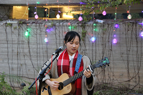太陽能路燈，太陽能路燈廠家，太陽能路燈價格