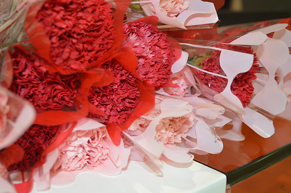 太陽能路燈，太陽能路燈廠家，太陽能路燈價格