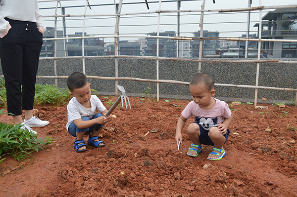 太陽能路燈，太陽能路燈廠家，太陽能路燈價格