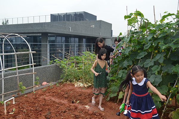 太陽能路燈，太陽能路燈廠家，太陽能路燈價格