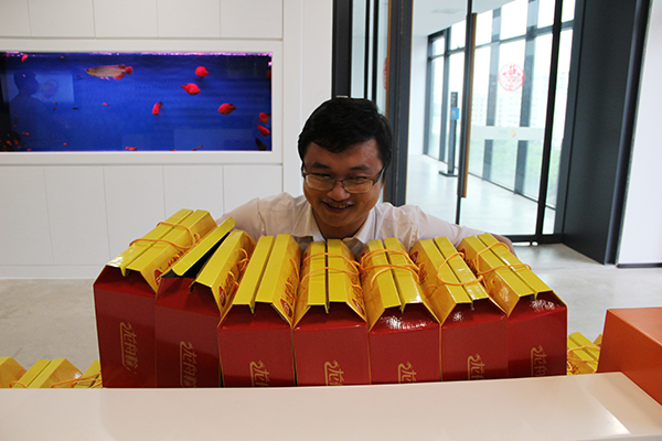 太陽能路燈，太陽能路燈廠家，太陽能路燈價格